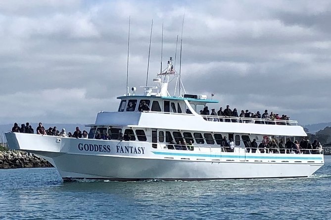 Monterey Bay Whale Watching - Marine Wildlife Sightings