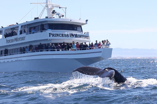 Monterey Whale Watching Tour - Booking and Cancellation Policy