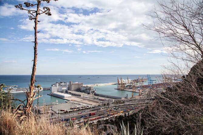 Montjuïc Walking Tour With Optional Flamenco Show - Highlights of the Tour Experience