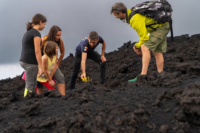 Mt Etna and Wine Tasting Tour From Catania - Tour Highlights