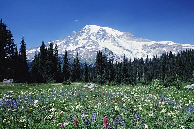Mt. Rainier Day Tour From Seattle - Itinerary Highlights