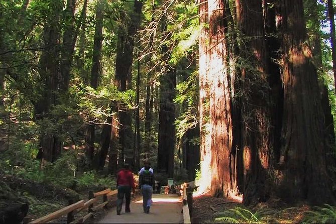 Muir Woods and Sausalito Morning Tour Small-Group Half Day - Itinerary and Highlights