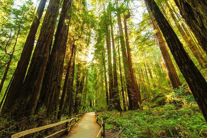 Muir Woods, Golden Gate Bridge + Sausalito With Optional Alcatraz - Discovering the Charm of Sausalito