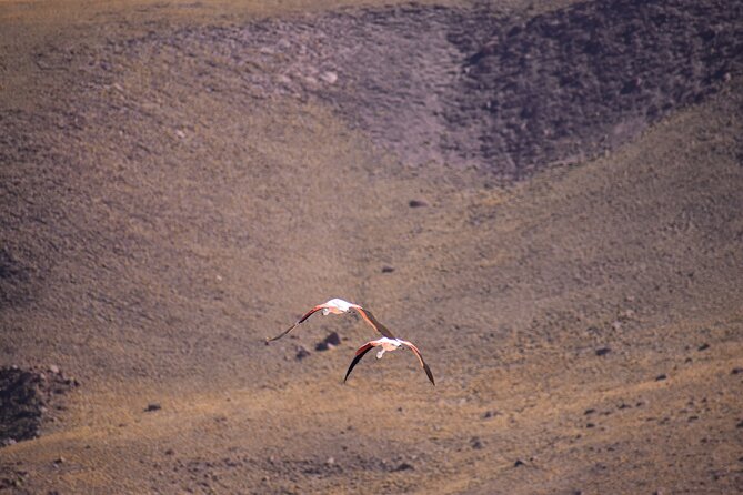 Multi-Day Tour in San Pedro De Atacama With Pickup - Cost and Booking Recommendations