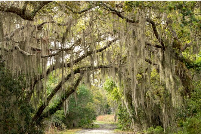 Myakka State Park E-bike Safari - Meeting Point and Accessibility