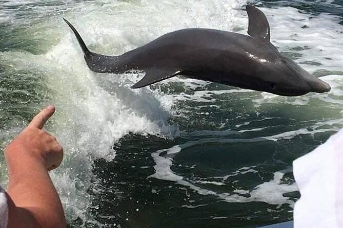 Myrtle Beach Dolphin Cruise - Meeting and Logistics