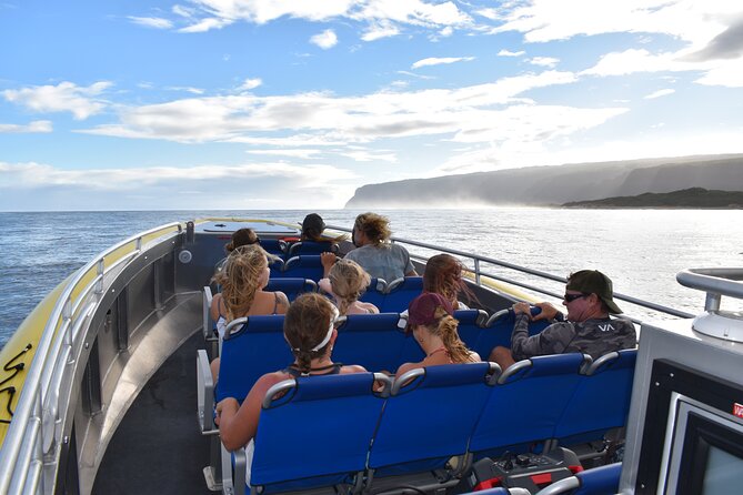 Na Pali Coast Super Raft Adventure With Snorkel - Encountering Wildlife Along the Way