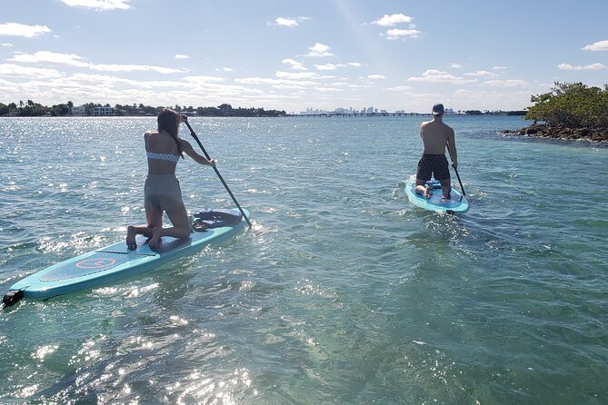 Nature & Island Exploration on SUP/Kayak - Potential Wildlife Sightings