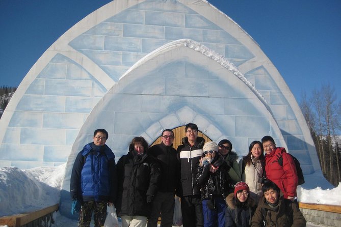 Northern Lights and Chena Hot Springs Tour From Fairbanks - Inclusions and Recommendations