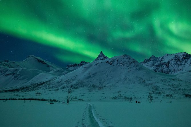 Northern Lights Tour From Tromsø - Inclusions and Meeting Details
