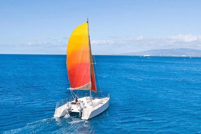 Oahu 3pm Whale Watching From Honolulu - Amenities and Onboard Services