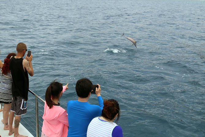 Oahu Catamaran Cruise: Snorkeling, Wildlife and Hawaiian Meal - Roundtrip Transportation and Meeting Points