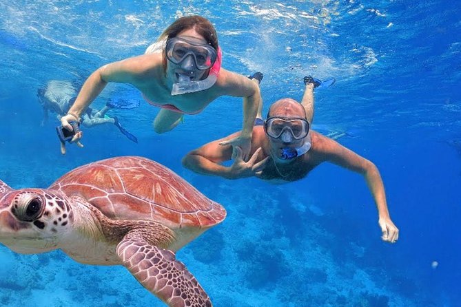 Oahu Ultimate Circle Island Tour Full Day Experience - Highlights of the Tour