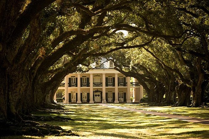 Oak Alley Plantation and Large Airboat Swamp Tour From New Orleans - Exploring Oak Alley Plantation