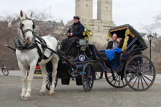 Official NYC Horse Carriage Rides in Central Park Since 1979 ™ - Accessibility and Flexibility