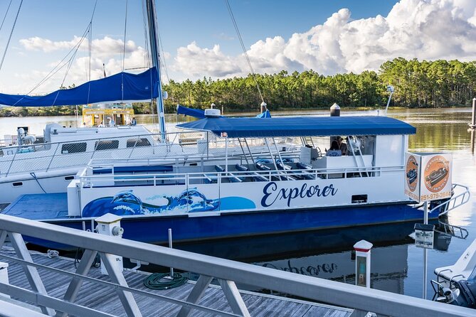Orange Beach Dolphin Eco Boat Tour - Dolphin-Watching Experience