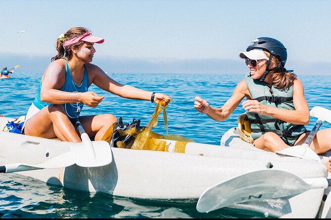 Original La Jolla Sea Cave Kayak Tour for Two - Inclusions and Pricing