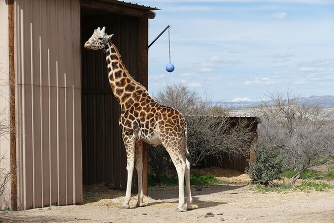 Out of Africa Wildlife Park Admission Ticket - Amenities and Accessibility