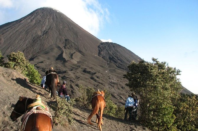 Pacaya Volcano Day Trip From Antigua - Hike Experience