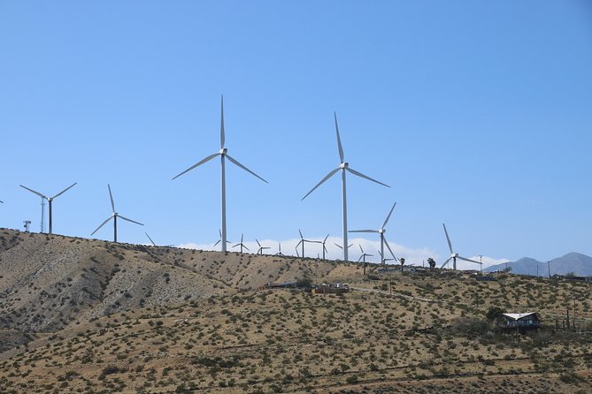 Palm Springs Windmill Tours - Customer Feedback and Ratings