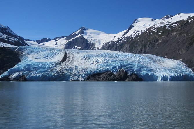 Portage Glacier Cruise and Wildlife Explorer Tour - Cruise to the Majestic Portage Glacier