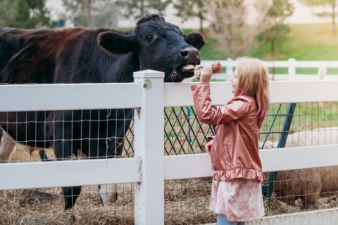 Premium Amish Country Tour Including Amish Farm and House - Meeting Point and Logistics