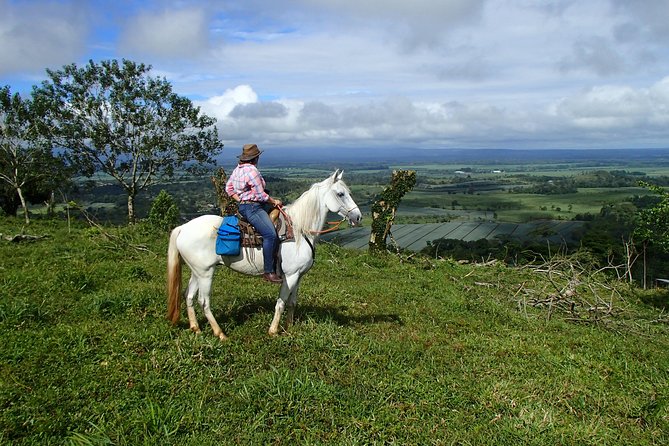 Private and Customized Horseback Riding Adventures - Tour Details