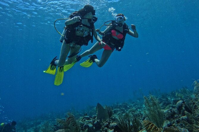 Private Diving Experience for Beginners in San Andres Islands - Inclusions and Pricing