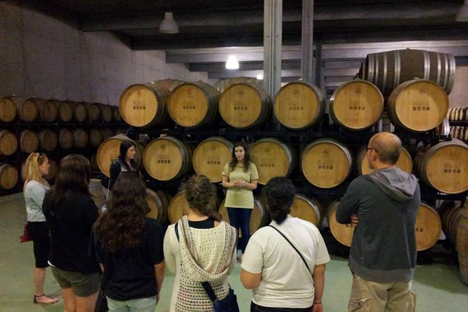 Private Douro Valley Wine Tour: 2 Wine Estates, Lunch and Cruise - Included Services