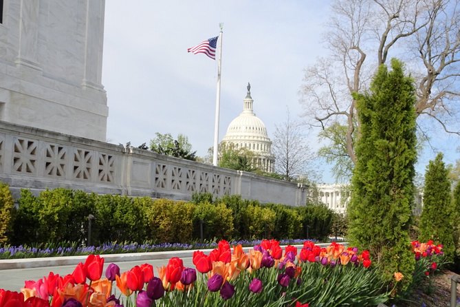 Private Multilingual DC City Tour (Spanish, Portuguese, English) - Tour Features