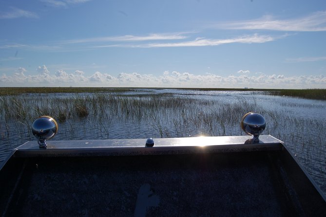Private Tour: Florida Everglades Airboat Ride and Wildlife Adventure - Wildlife Encounters