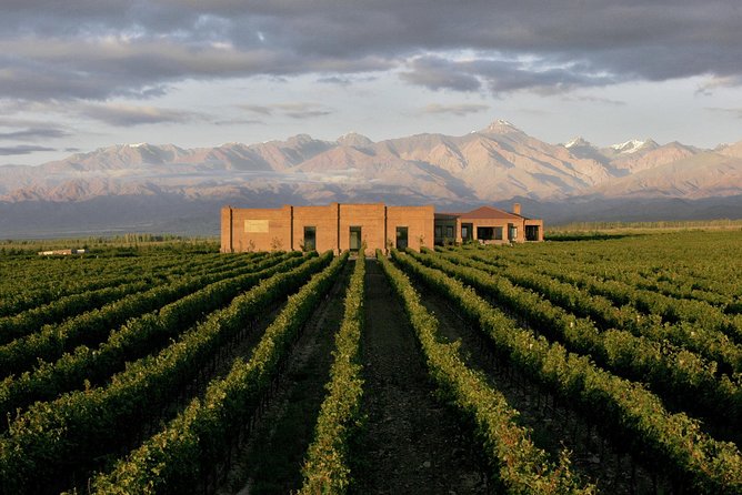Private Transfer Uco Valley Wineries - Reviews and Feedback