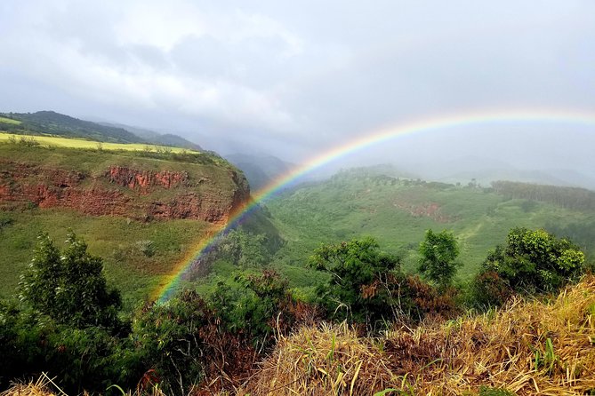 Private Waimea Canyon Tour - Tour Highlights