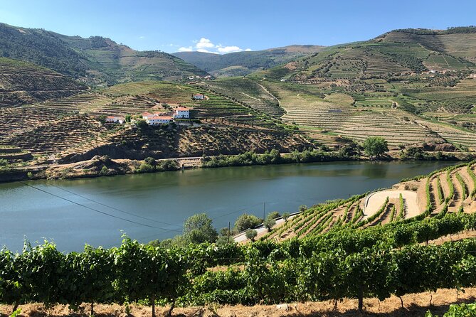 Private Wine Tour in the Douro Valley - Private Wine Tastings and Lunch Included - Pickup and Accessibility