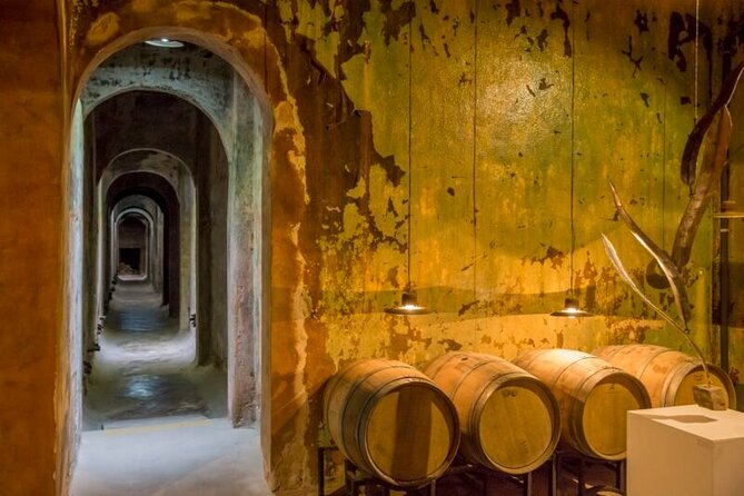 Private Wine Tour to Colonia Caroya, Córdoba - Argentina - Transportation and Pickup