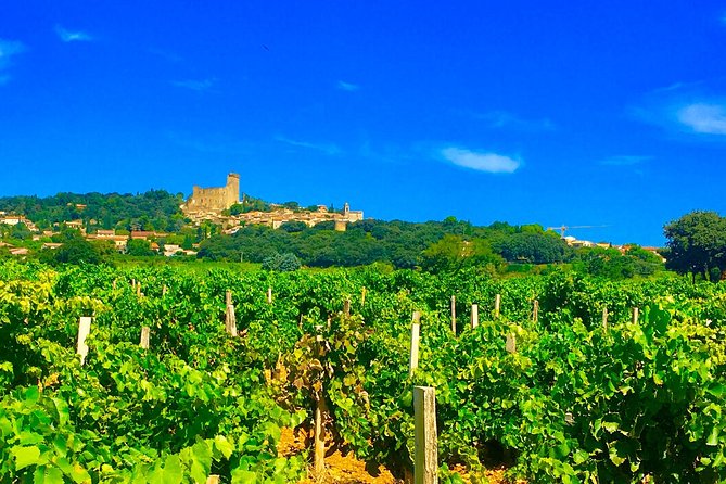 Provence Cru Wine Small-Group Half-Day Tour From Avignon - Inclusions and Logistics