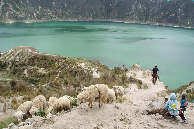 Quilotoa Lagoon and Volcanoes Avenue Day Trip With Entrances - Transportation and Accessibility