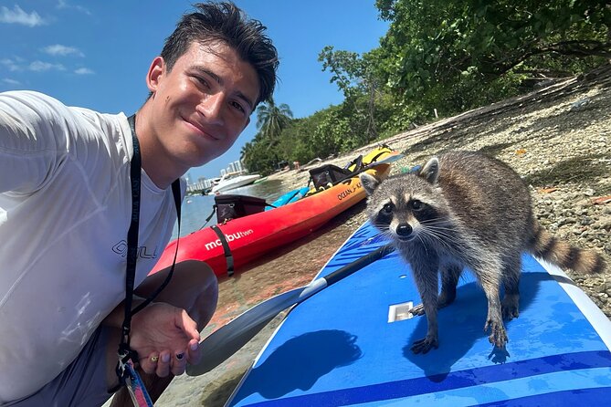 Raccoon Island Exploration on Sup/Kayak - Learning About the Local Wildlife and Ecosystem