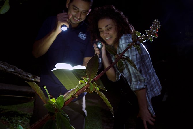 Rainforest Night Walk and Authentic Costa Rican Dinner From La Fortuna - Inclusions and Logistics