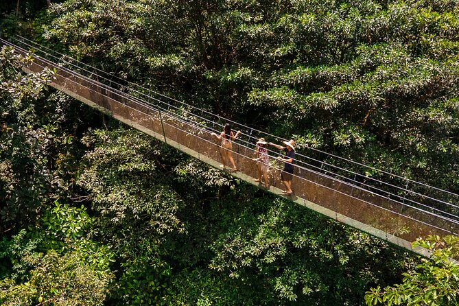 Rainforest Waterfall Hike, Hanging Bridges, and Cultural Lunch in Local Home - Secluded Waterfall Swimming