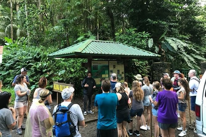 Rainforest Waterfall Trail and Shuttle Service - Physical Requirements and Restrictions