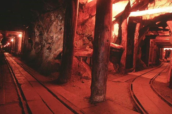 Real Gold Mine Tour With, Gold Panning and More - Interacting With the Resident Burros