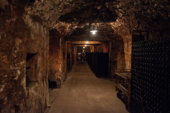 Reims Afternoon Tour Champagne and Family Growers - Inclusions