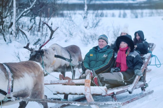 Reindeer Sledding and Feeding With Sami Culture in Tromso. - Tour Details and Logistics