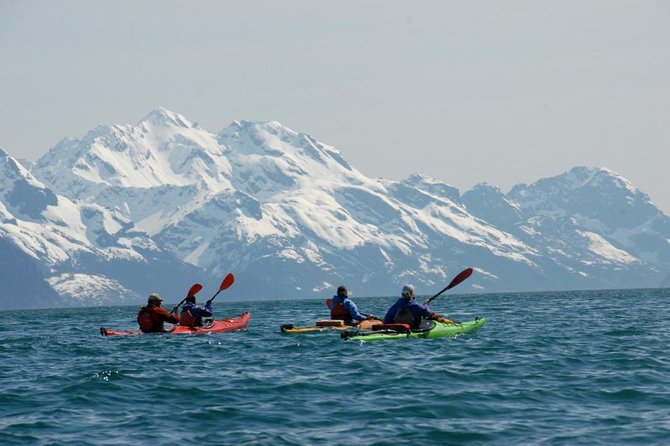 Resurrection Bay Kayaking Adventure - Highlights of the Experience