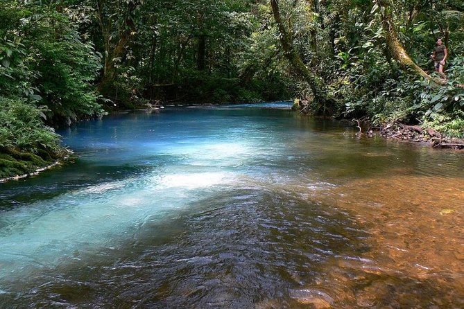 Rio Celeste Hike & Tenorio Volcano Hike - Itinerary and Experience