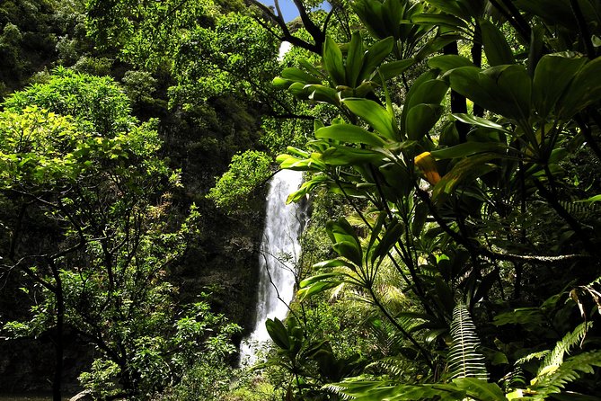 Road to Hana Luxury Limo-Van Tour With Helicopter Flight - Passenger Requirements and Restrictions