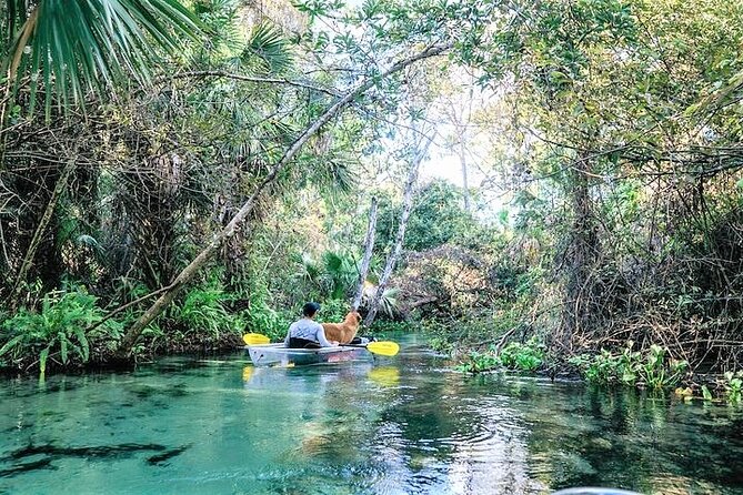 Rock Springs 2-Hour Glass Bottom Guided Kayak Eco Tour - Wildlife Viewing Opportunities