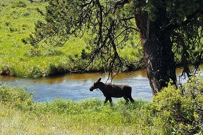 Rocky Mountain National Park and Estes Park Tour From Denver Winter and Spring - Transportation and Amenities
