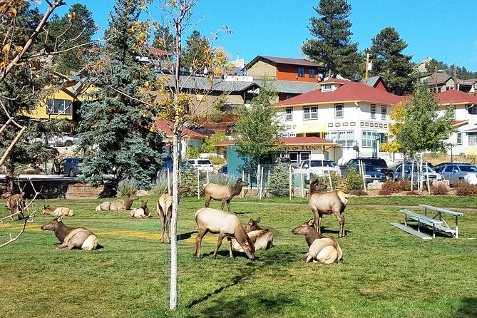 Rocky Mountain National Park in Summer Tour From Denver - Inclusions